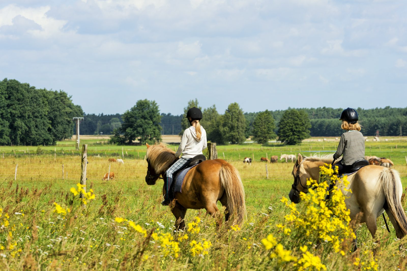 Ferien auf dem Reiterhof