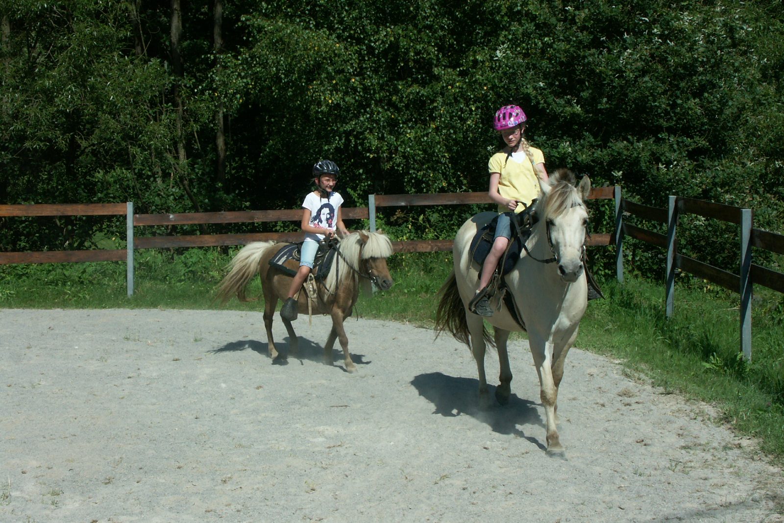 Ponyreiten Hessen