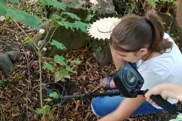 Geocaching - Wiesbadener Nordwand, Bild 1