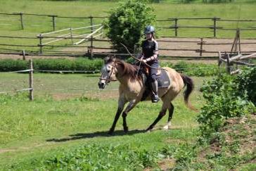 Indianerwoche  Reiten ohne Sattel, Schießen mit Pfeil und Bogen August, Bild 1
