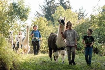 Lama-Abenteuer zum Kindergeburtstag