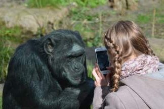 Zoo Halle