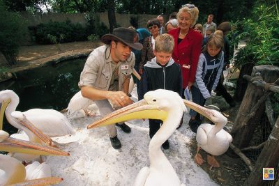 Kindergeburtstag Zoo Hannover