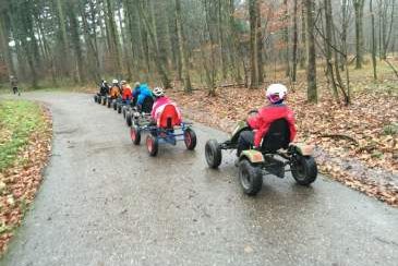 Einfache Pedal Go Kart Tour Karlsruhe, Bild 1