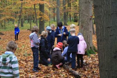 Natur er-leben, Bild 1