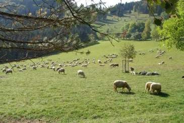 Familien-Expedition