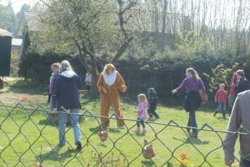 ostern Hoppolino