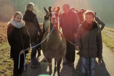Kindergeburtstag mit Lamas, Bild 1