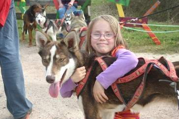 Toben und Kuscheln mit Husky, Bild 1