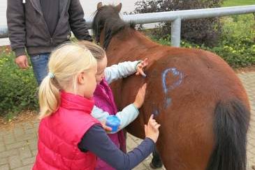 Ponygeburtstag - Kindergeburtstag auf dem Reiterhof, Bild 1