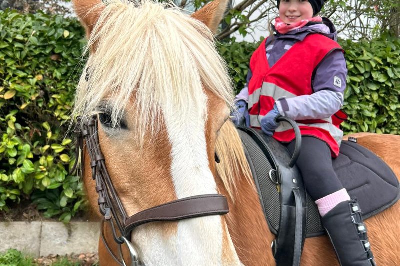 Ponygeburtstag auf dem Reiterhof, Bild 1