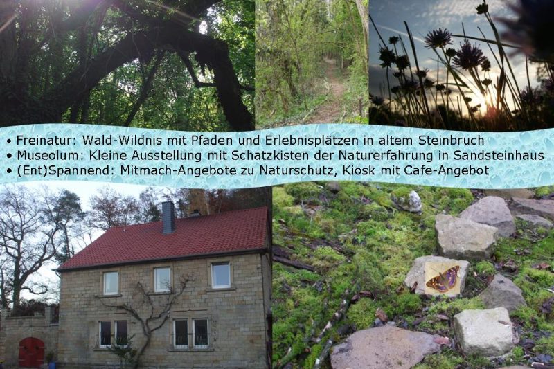 Ausflugsziel Staudernheim