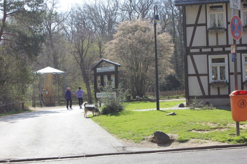 Kindergeburtstag Bonn